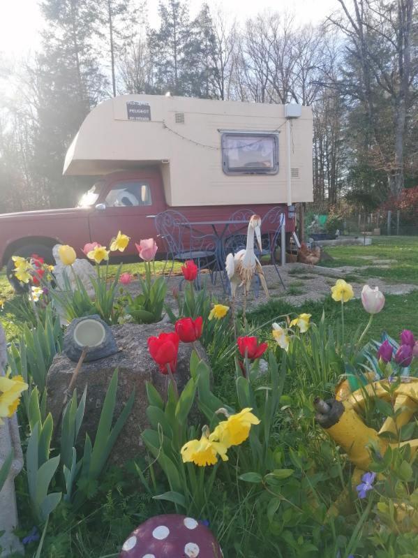 Le Pick Up 403 Vintage Hotel Oradour-sur-Glane Exterior foto
